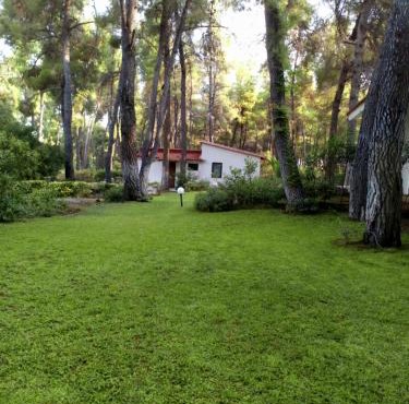 Villa Anty in Sani Beach