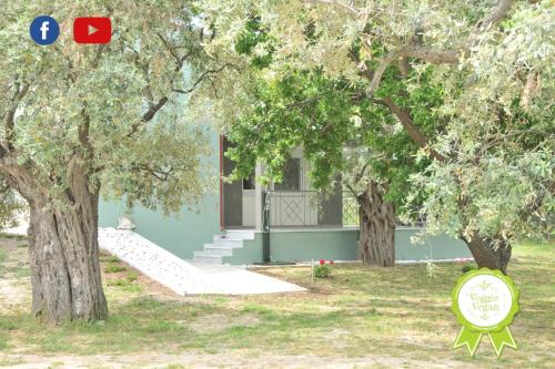 Villa "Elaeda Evdokia"