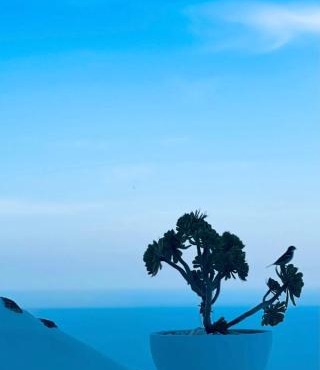 Villa Kastelli88 Santorini Pyrgos