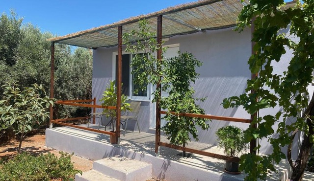 Vine Veranda in Palaiochora