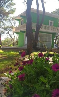 Vjosa River Rooms