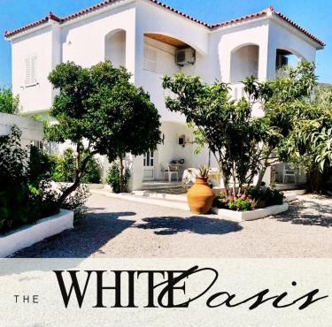 White Oasis Samos-Retreat