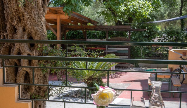 Wilde Rose Hotel
