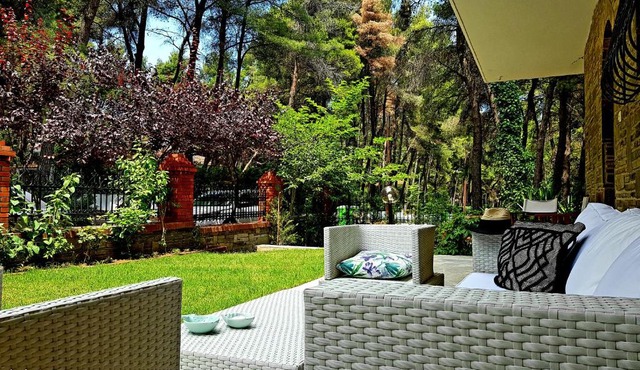 Wood and Stone Villa in Sani Beach
