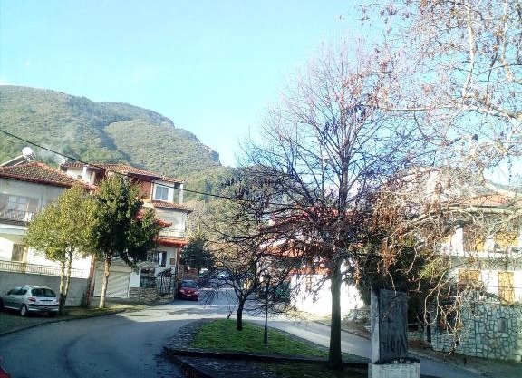 Apartment near Olympus mountain