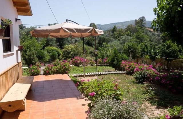 Dramountana 