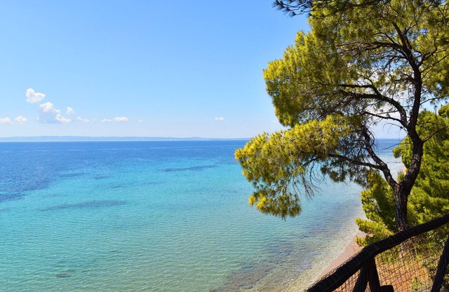 Squirrel Beach Front Villa, Metamorfosi in Metamorfosi