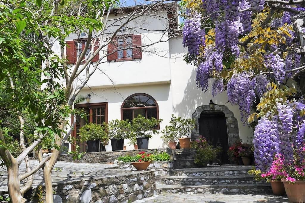 Zagora House | Wonderful Villa Thalia 4 Bedroom & guest house