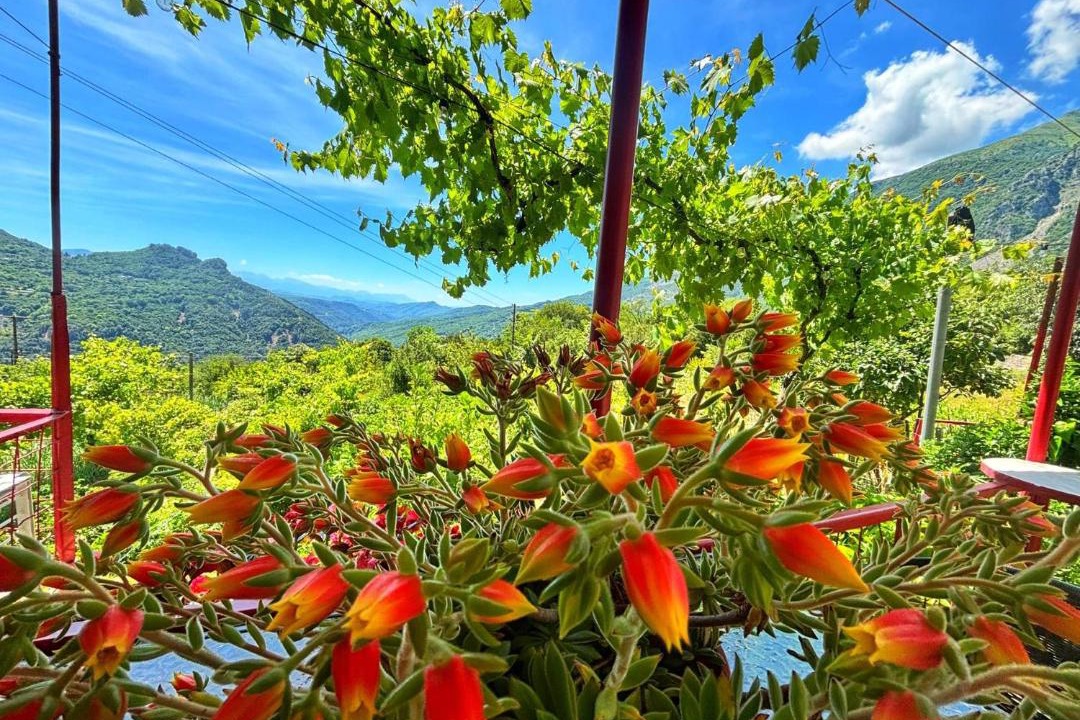 North Tzoumerka House | Georgaras Accommodation