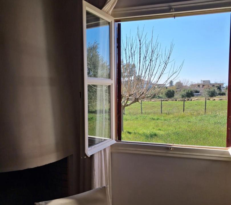 Pineios House | tragano