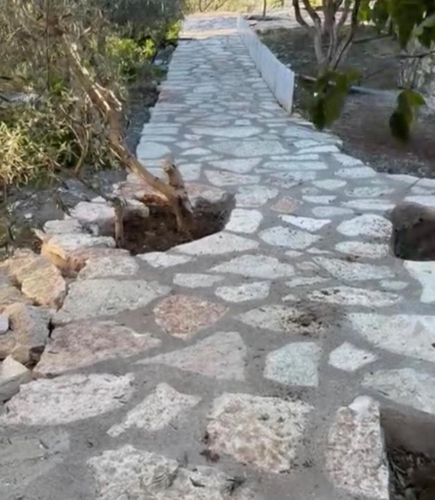 Vlore County Apartment | Olive Stone Villa