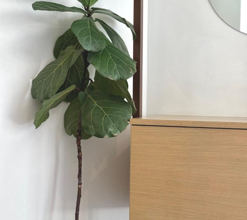 Athens City Centre Apartment | Syntagma2