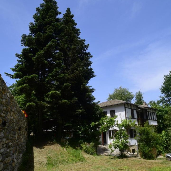 Zagora-Mouresi Apartment | Guesthouse To kalivi