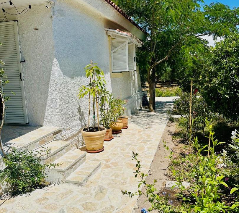 Pylos-Nestoras House | Antheia