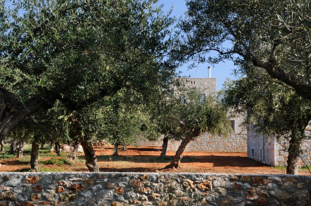Lefktron House | Nikoloudi Estate