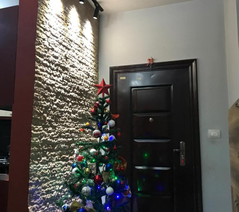 Fushebardhe Apartment | Vjosaview