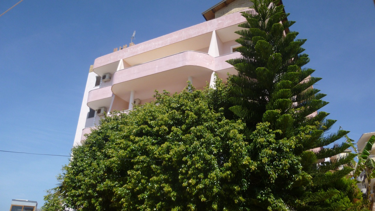 Photo of Others in Kodrra