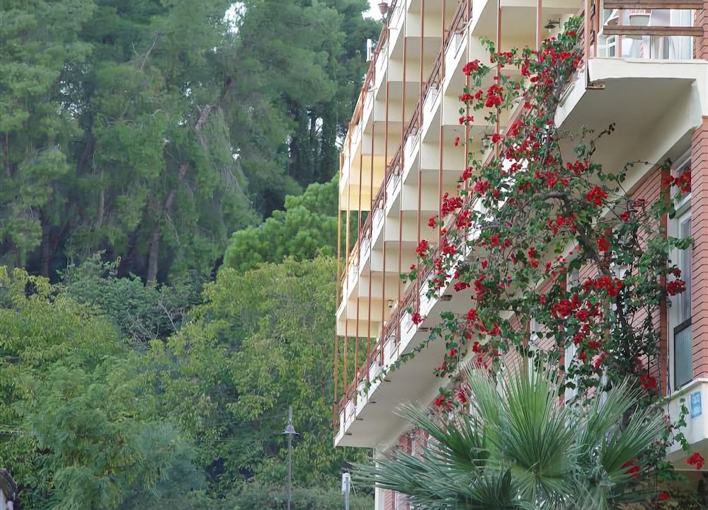 Photo of Buildings in Archaia Olympia