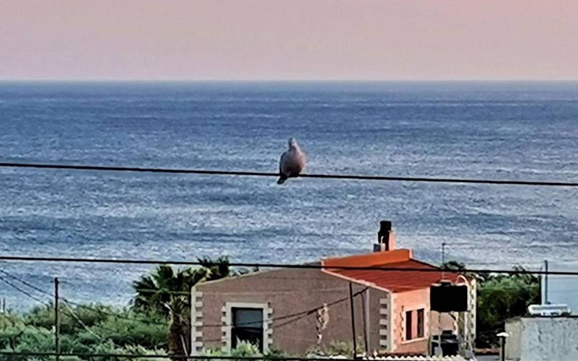 Photo of Others in Ferma