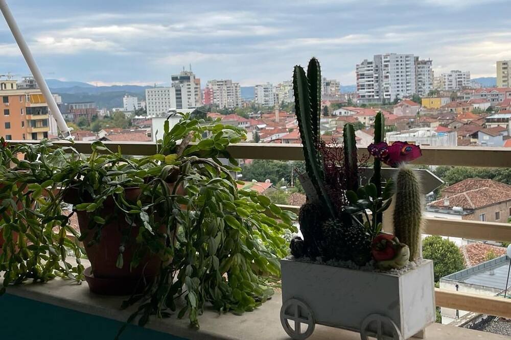 Photo of Others in Elbasan