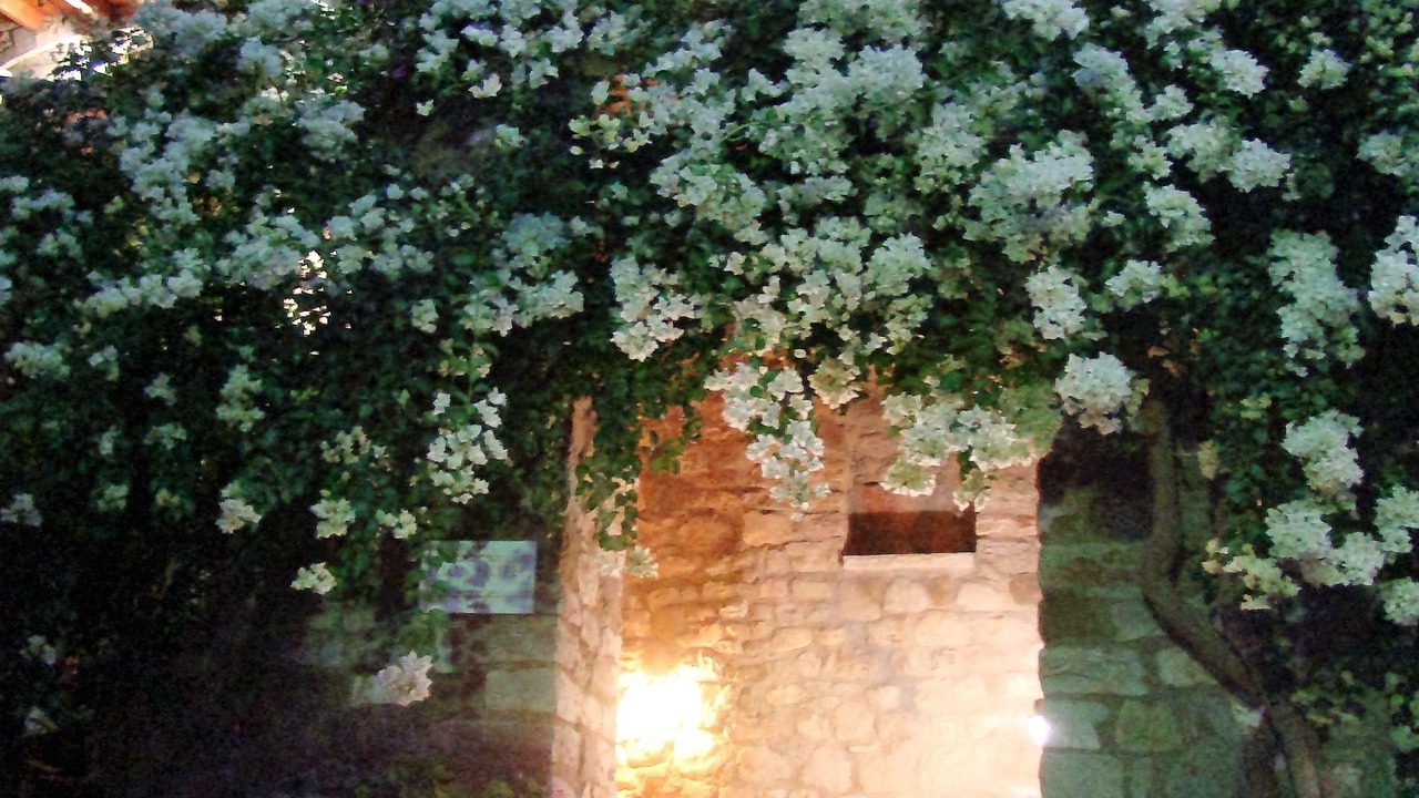 Photo of Outdoor in Gefira Mpania