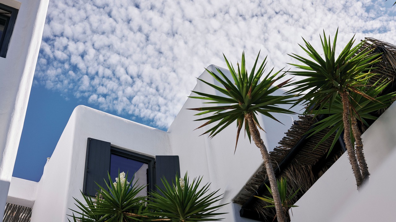 Photo of Outdoor in Elia