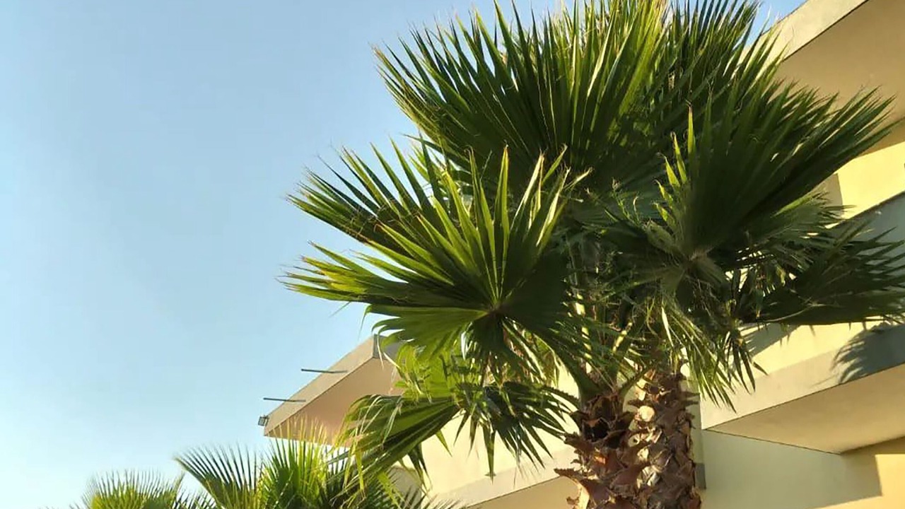 Photo of Outdoor in Kryevidh