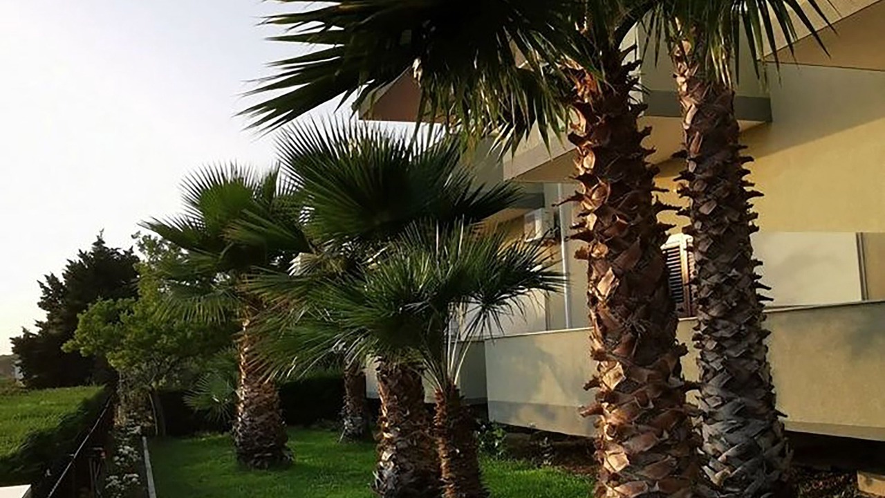 Photo of Outdoor in Kryevidh