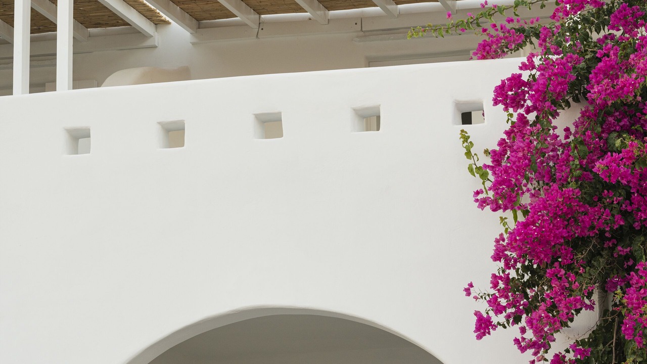 Photo of Outdoor in Antiparos