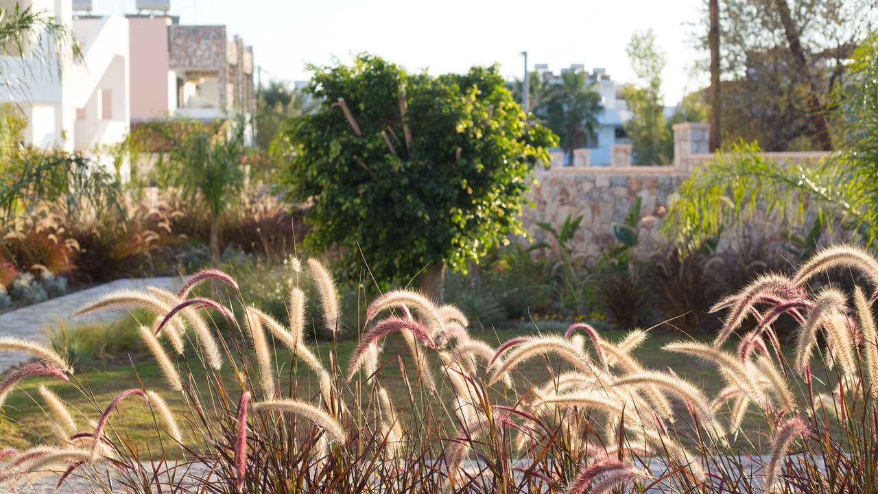 Photo of Outdoor in Faliraki