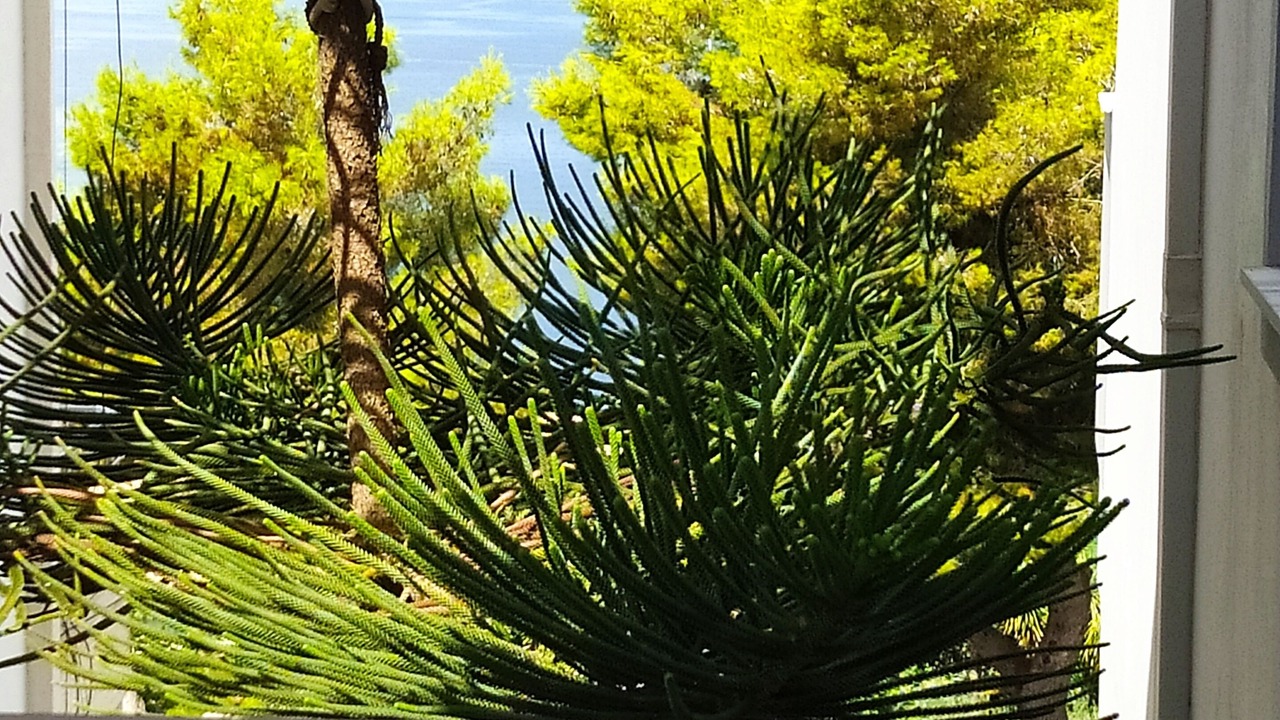 Photo of Outdoor in Sarande