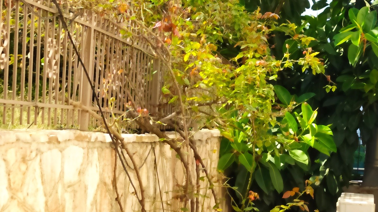 Photo of Patio Balcony in Sarande
