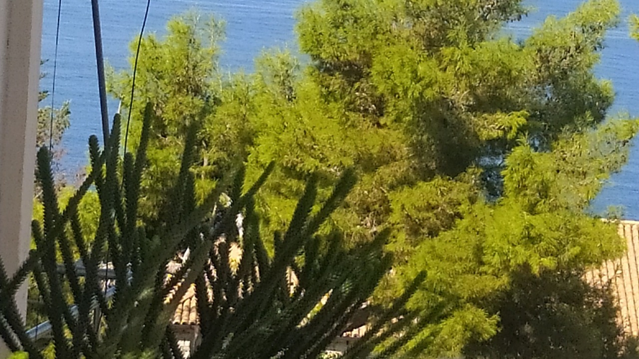 Photo of Patio Balcony in Sarande