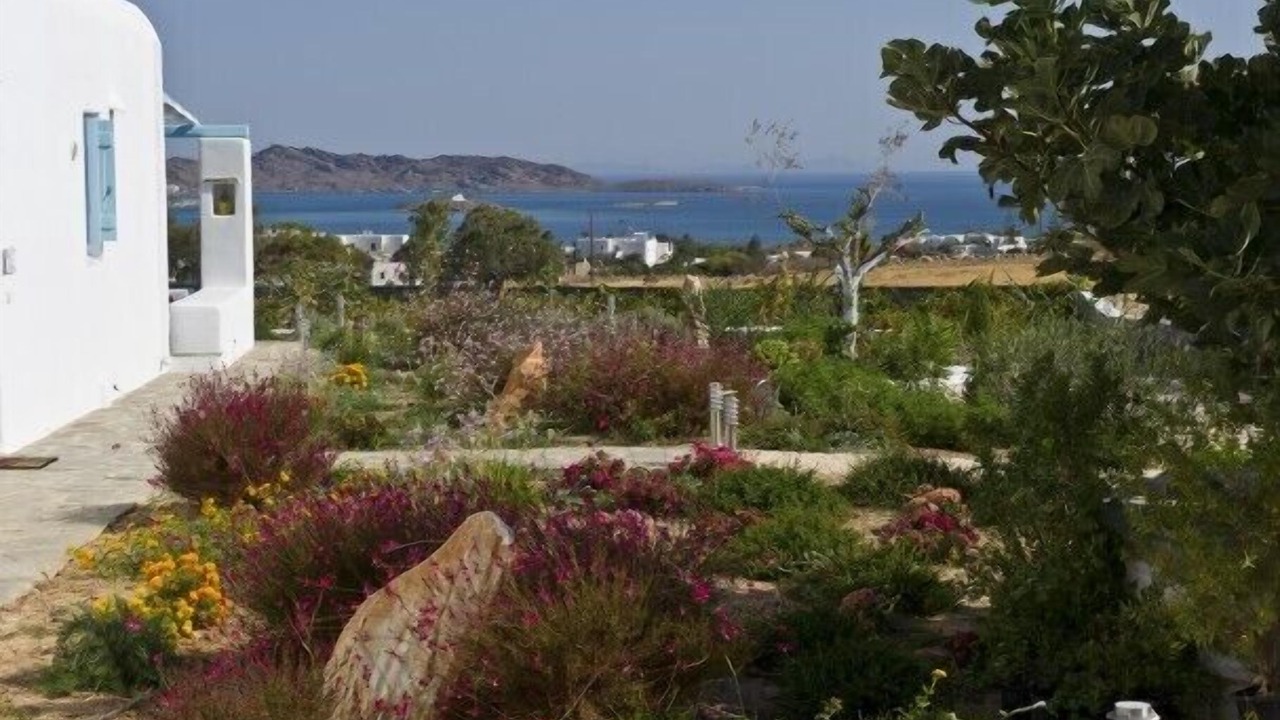 Photo of Outdoor in Naousa