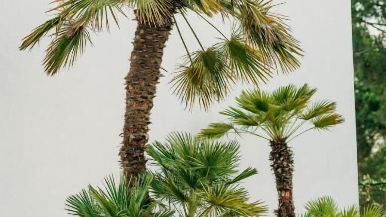 Photo of Outdoor in Ishem