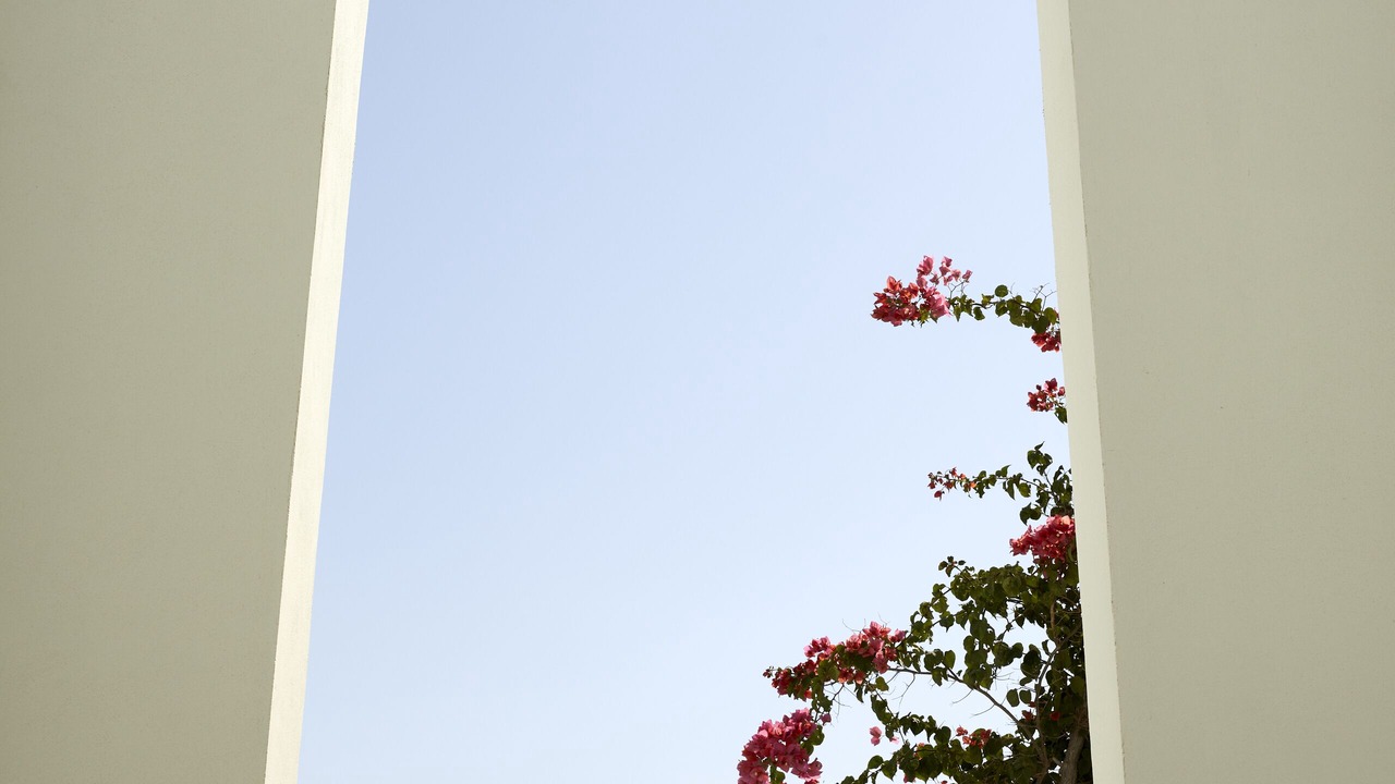 Photo of Outdoor in Kiotari