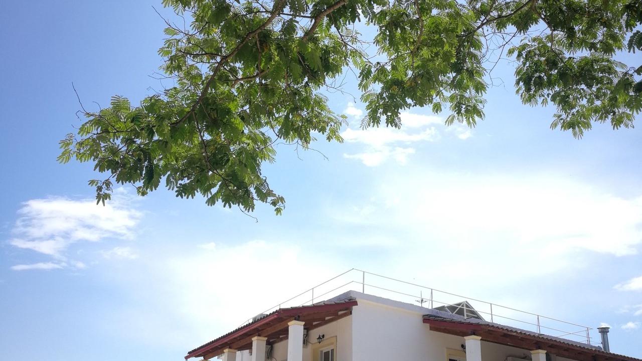 Photo of Outdoor in Ipsos