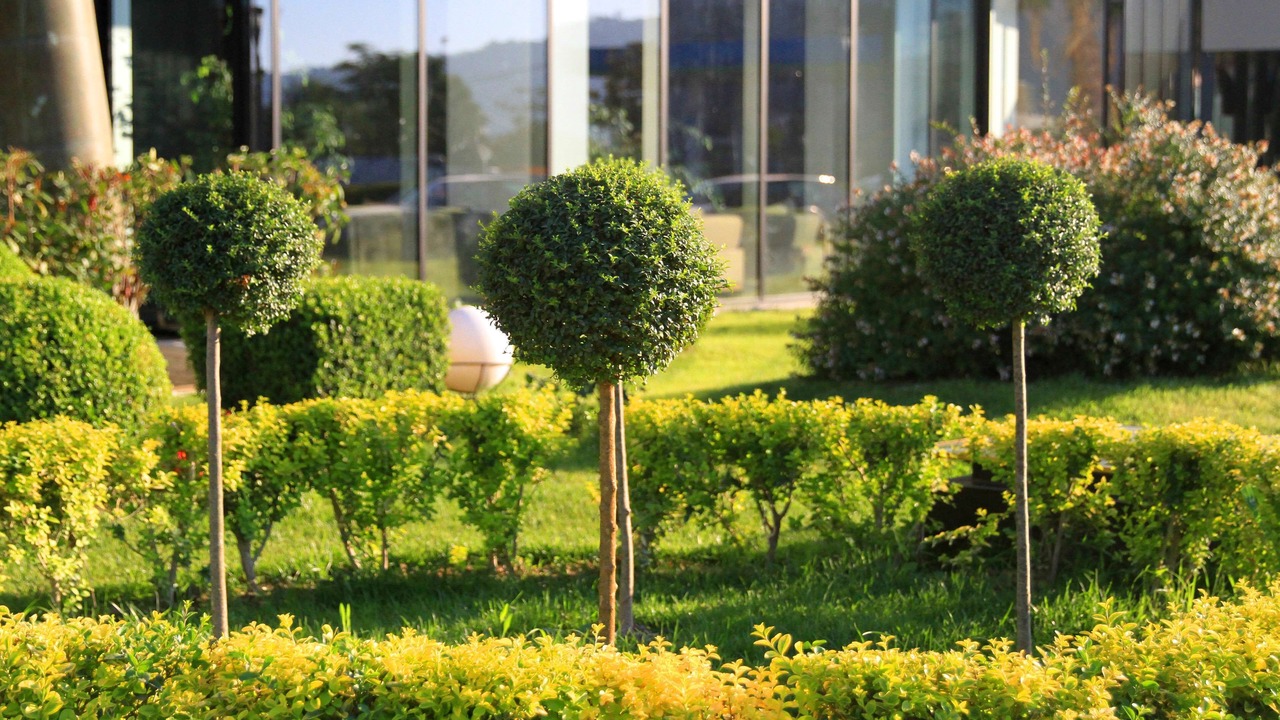 Photo of Outdoor in Preze