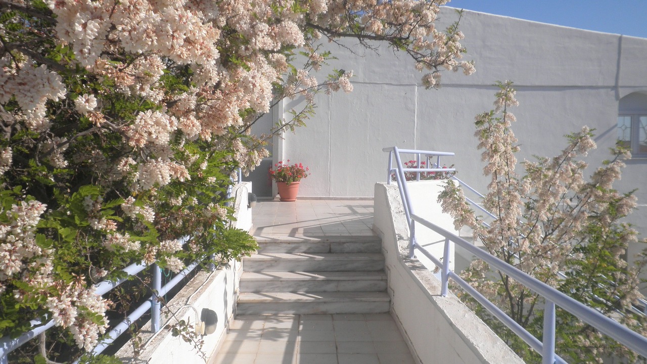 Photo of Outdoor in Chios Town