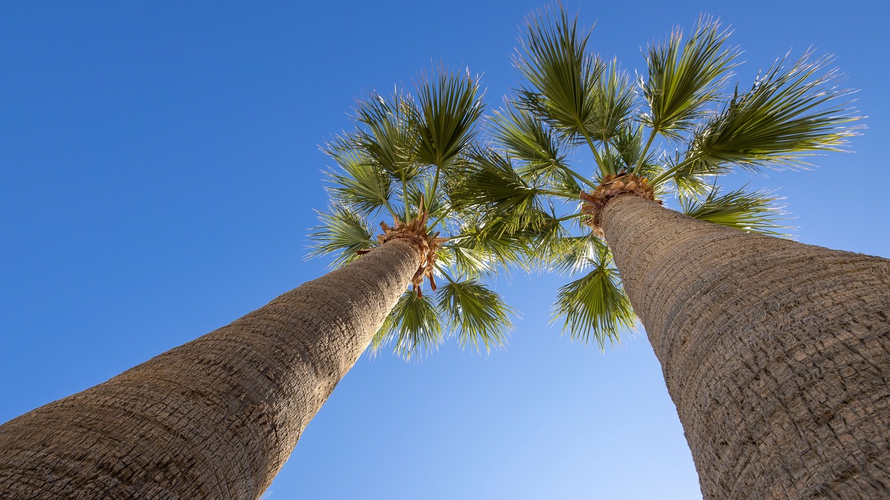 Photo of Outdoor in Malia