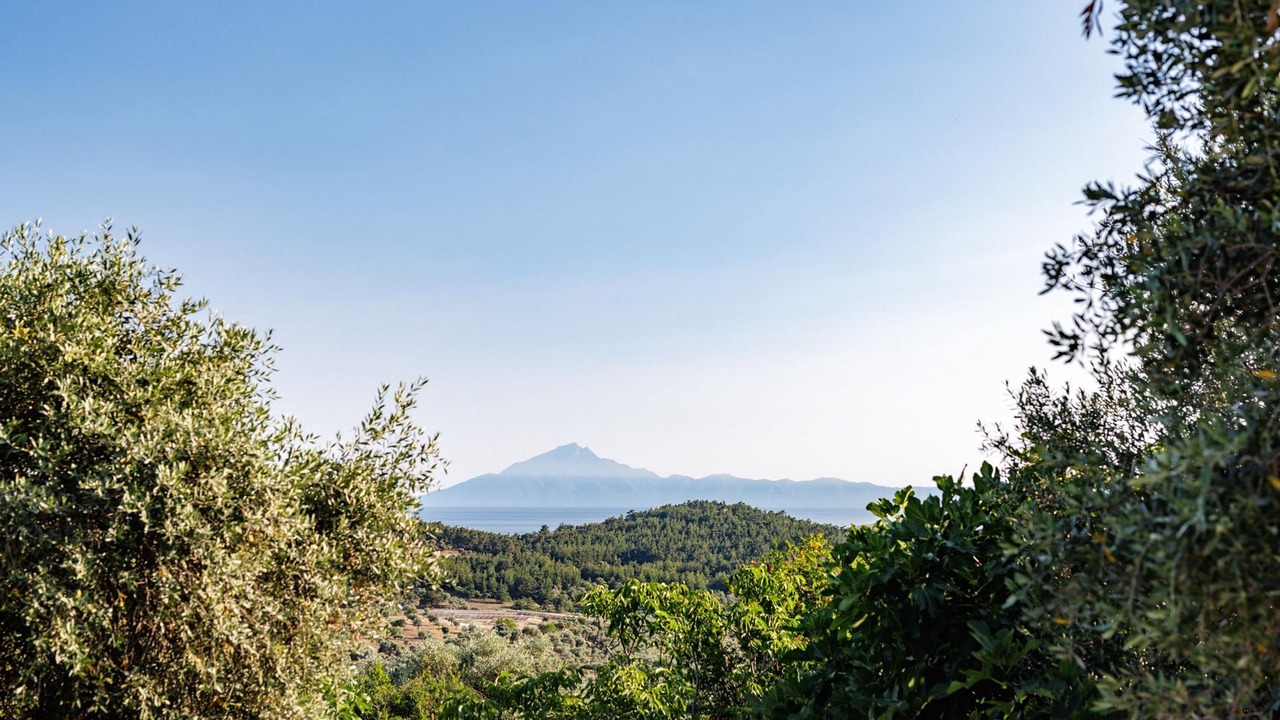 Photo of Others in Thasos