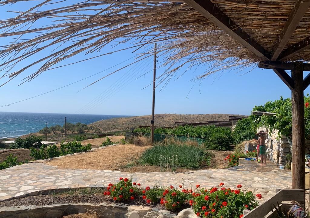 Photo of Outdoor in Naxos