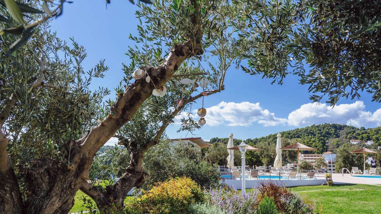 Photo of Outdoor in Katsarou