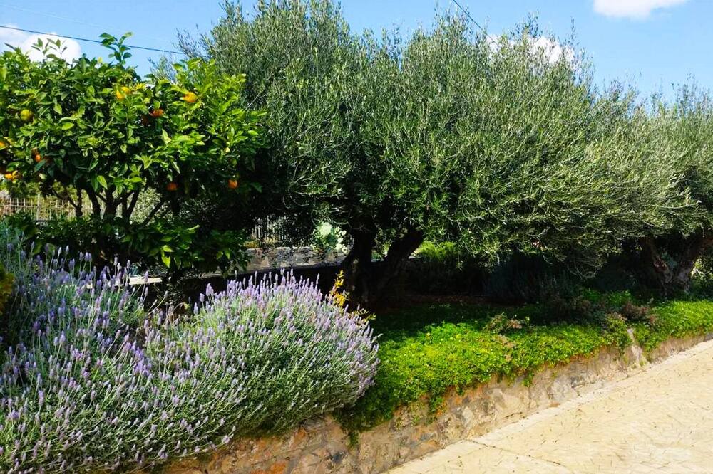 Photo of Outdoor in Agios Nikolaos Town