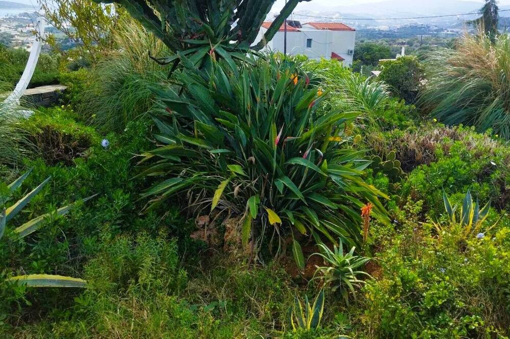 Photo of Outdoor in Agios Nikolaos Town