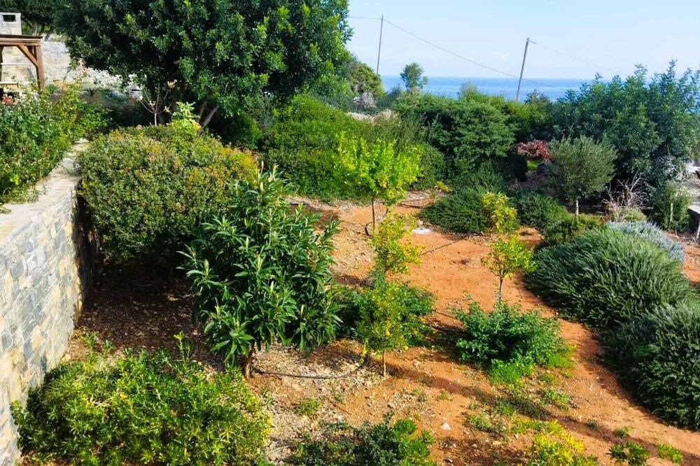 Photo of Outdoor in Agios Nikolaos Town