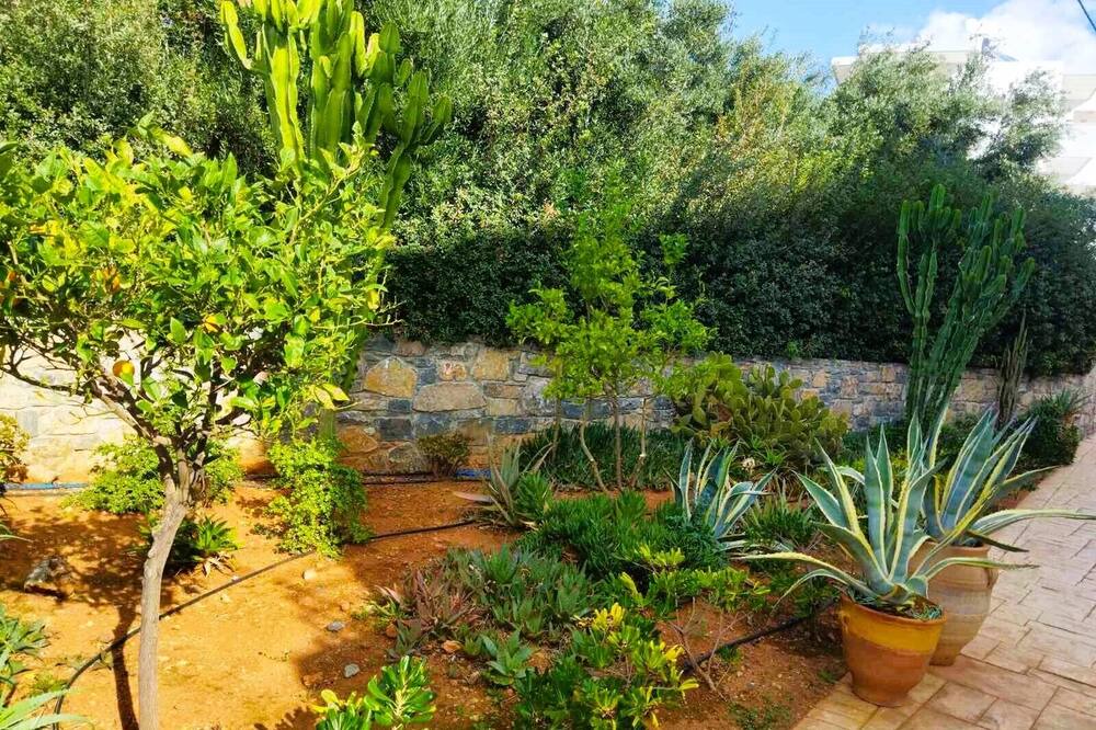Photo of Outdoor in Agios Nikolaos Town