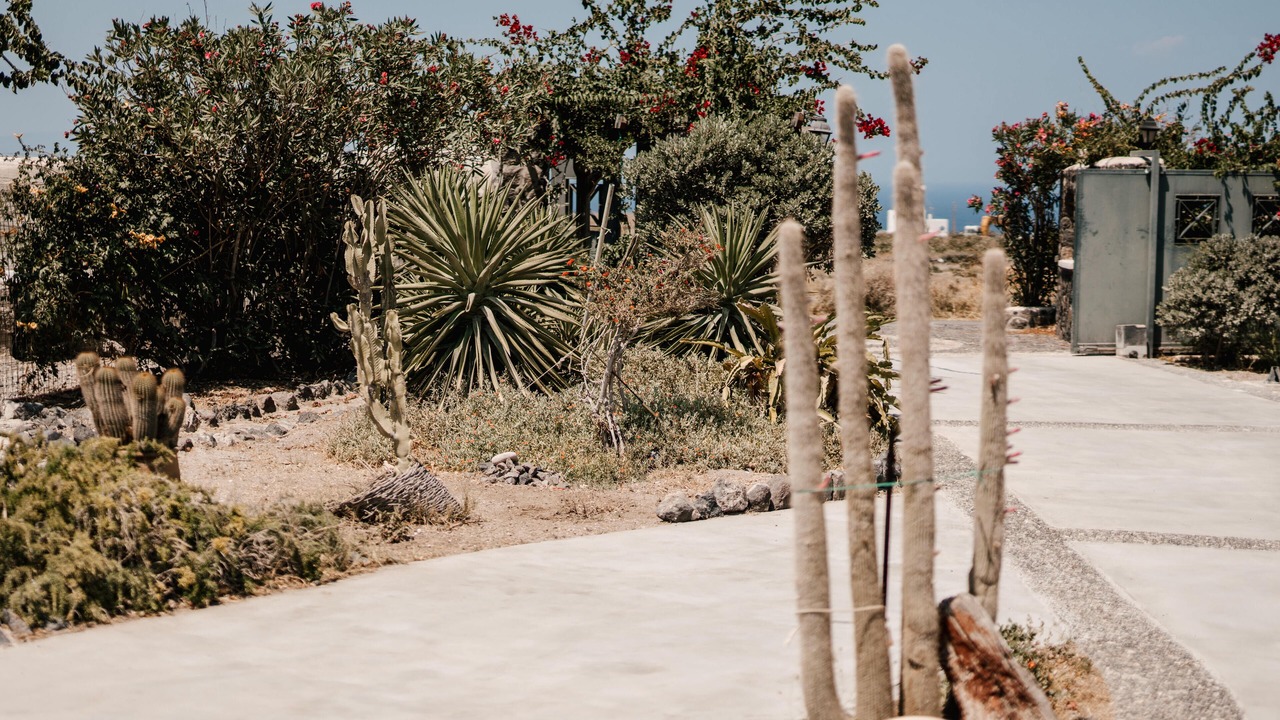 Photo of Outdoor in Kamari