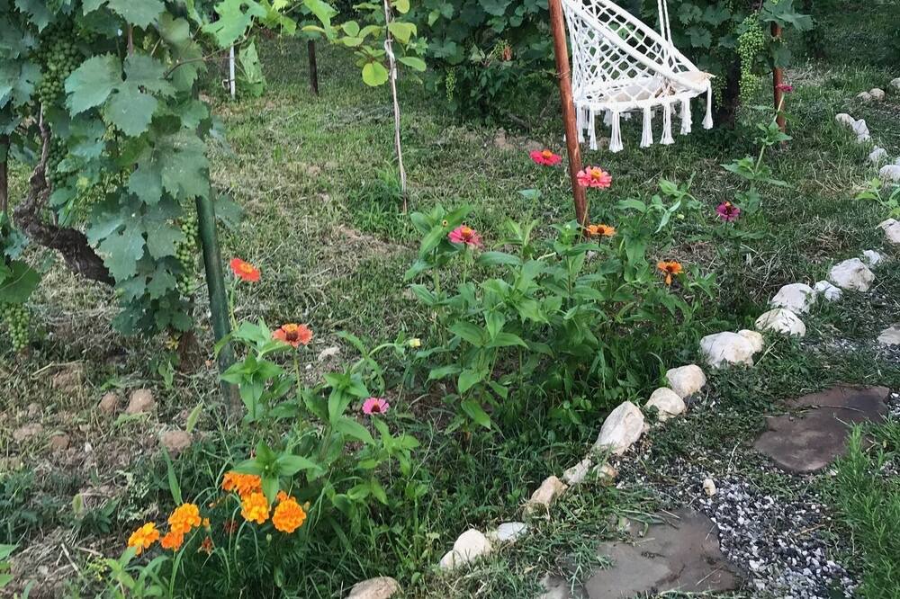 Photo of Outdoor in Permet