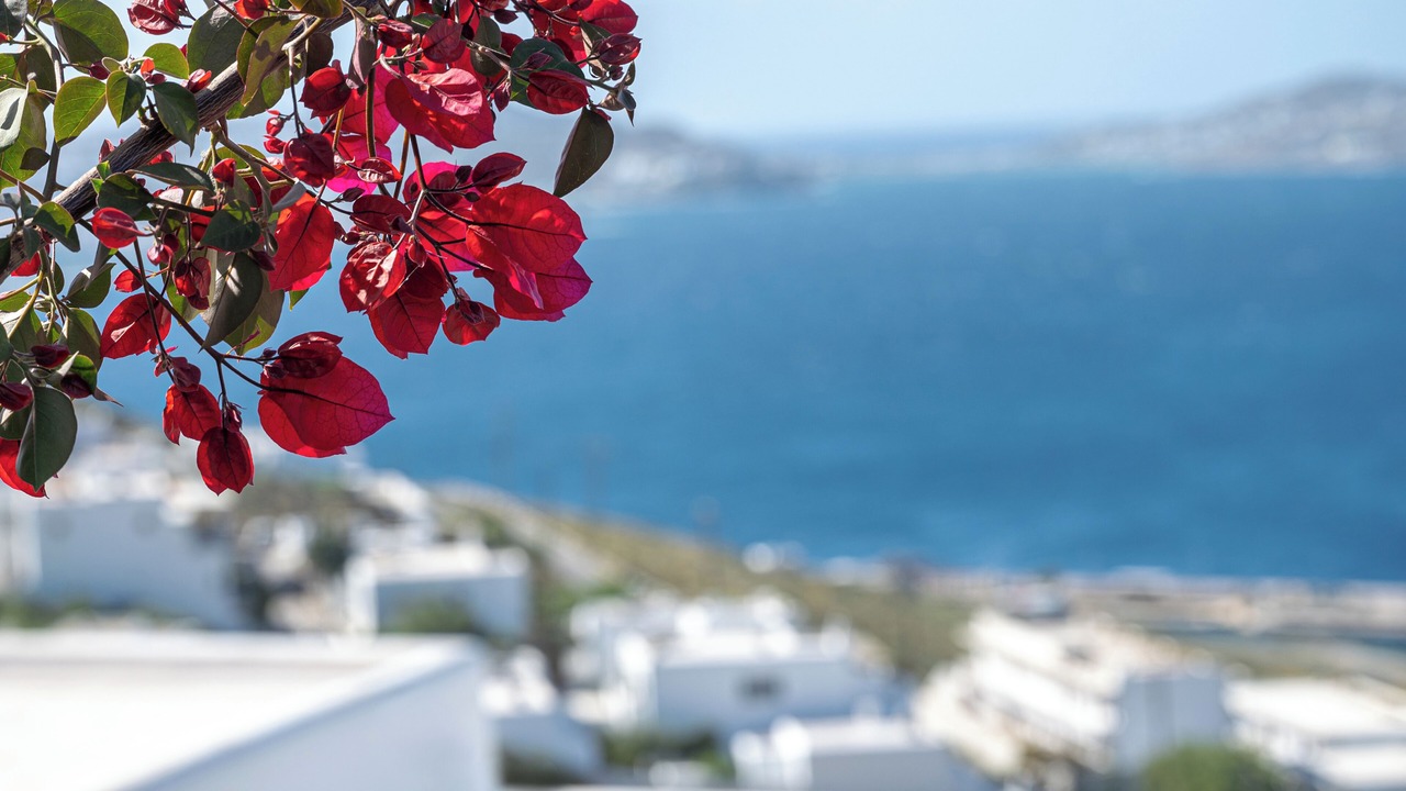 Photo of Outdoor in Agios Stefanos